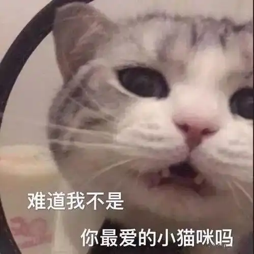 什么抖音也能免费看自考公开课了
