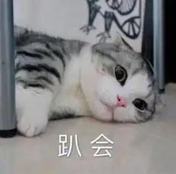 283喜喜晴天接待部视频直播全集283喜喜晴天接待部资料大全yy官方