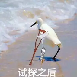 在违法的边缘试探原图在违法的边缘试探表情包
