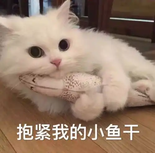 从老三件到洋年货,盘点年货变迁史,今年的年货你都配齐了吗
