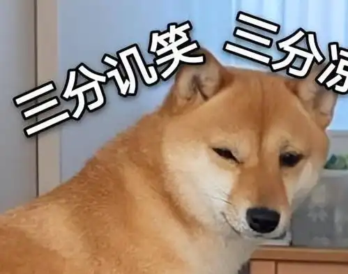建议养一只柴犬,有趣的灵魂,很难不爱
