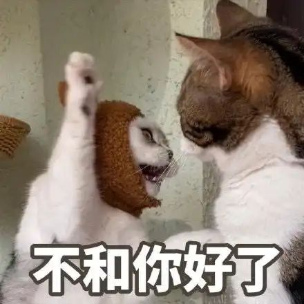 暴躁猫咪表情包合集我生气了,不和你好了
