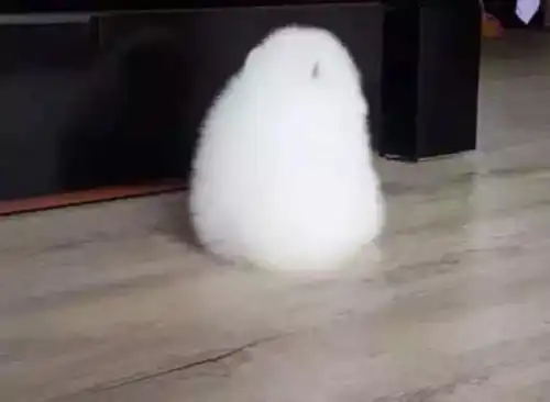 智慧树表情包面壁思过