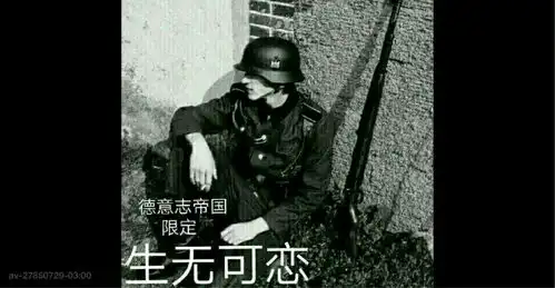 二战表情包

