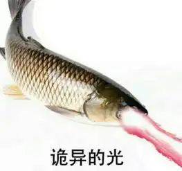鱼为什么会发出诡异的光高考题目诡异的光是什么
