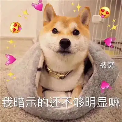 小柴犬可爱表情包是我暗示的还不够明显吗
