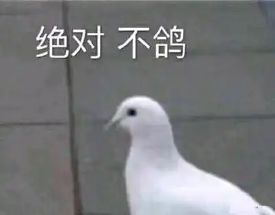 临近填报预推免系统被咕咕了怎么办
