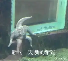 一只海星坐在门槛上休息网友我有酒,你有故事吗
