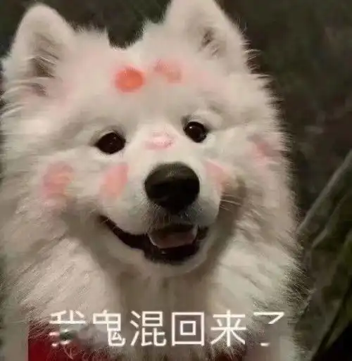 沙雕表情你击中我了妹妹
