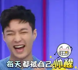 exo张艺兴lay表情包
