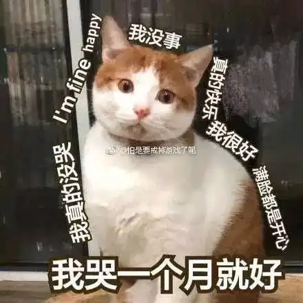 没事表情包土味天空岛