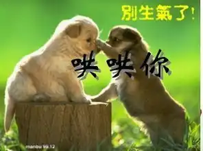 求言和的图片啊
