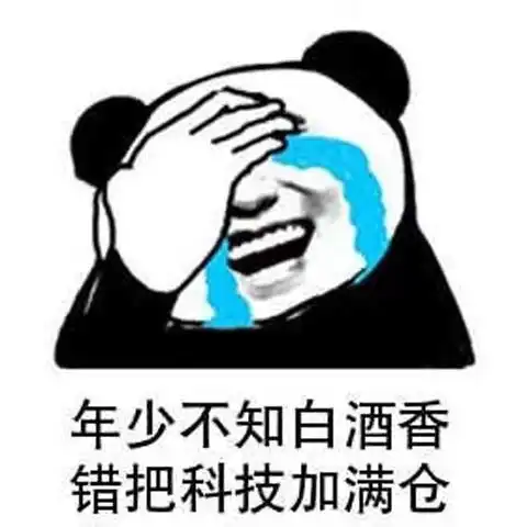 表情包真是太棒了,什么都没学到
