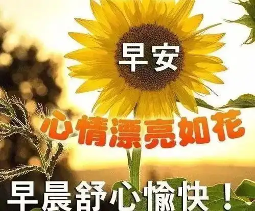 懂得感恩和珍惜,才能获得人生最大的收获,早安
