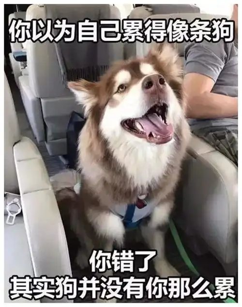 爆冷内涵的新鲜冷段子
