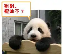 qq表情搞笑qq表情动物图片姐姐,俺帅不
