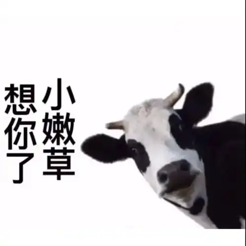 表情包保持独立,适当拥有
