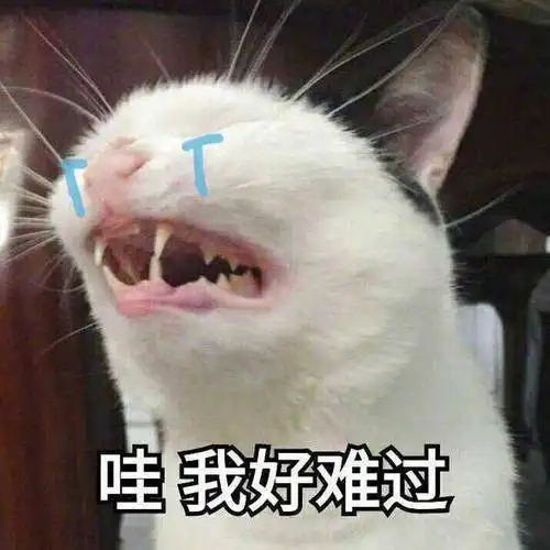 爆笑gif手无缚鸡之力,抓鸡全靠天意
