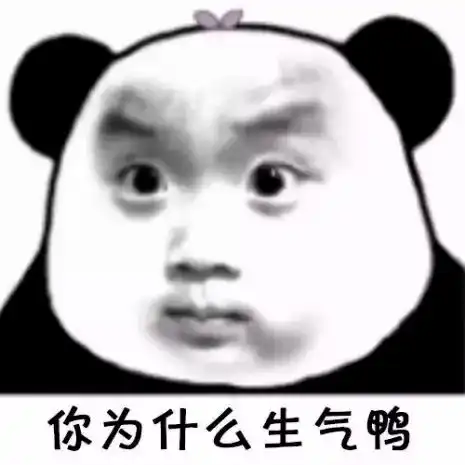 熊猫头表情包i懂了开始烦我了
