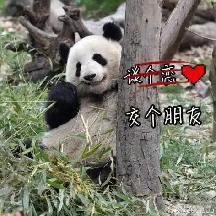 都江堰,被滚滚看中的城市果然不同凡响