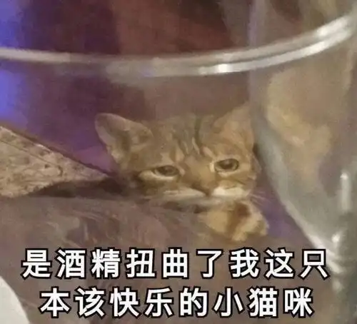沙雕朋友圈文案合集,总有一条适合沙雕的你
