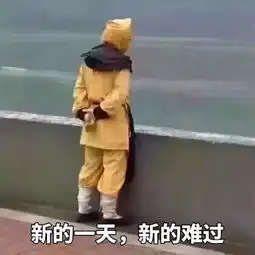 新的一年新的减肥
