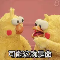 鹦鹉兄弟qq表情包
