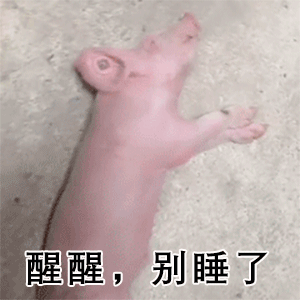 这40张表情包,斗图太好用了,今天送你了
