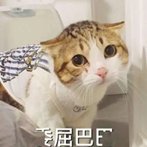 2020年土味视频的集大成者出现了,全部看完真的是勇士
