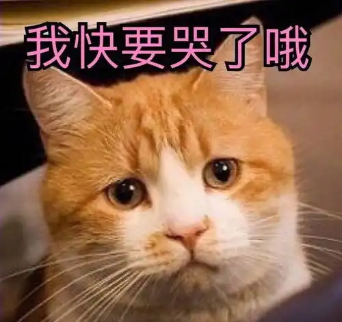 搞笑gif两个人合不合适,看表情包就知道时候
