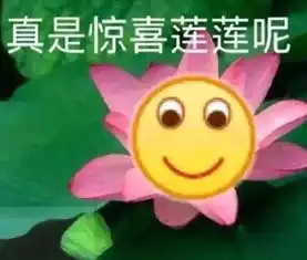 盘点旅游时遇到的奇事,实在令人难忘
