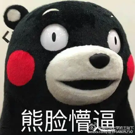 熊本kumamon表情包