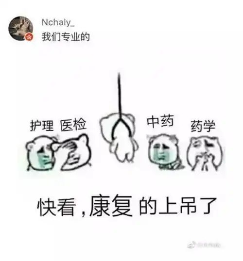 据说每个专业都有属于自己的一套表情包,找到你的了吗
