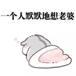 仓鼠表情包biu
