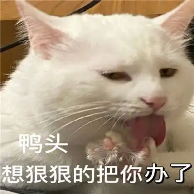 最新版油腻猫咪表情包大全对我有那种欲望是很正常的
