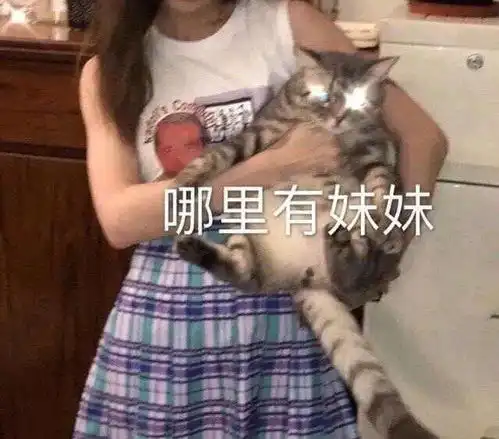 表情包爷裂开了
