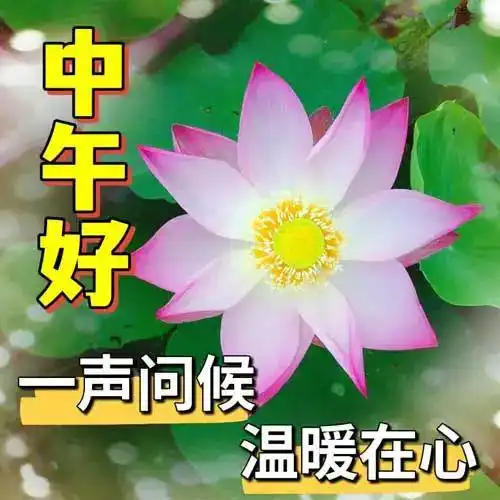 中午好图片大全,午安问候图片,午安祝福图片,愿您吉祥如意
