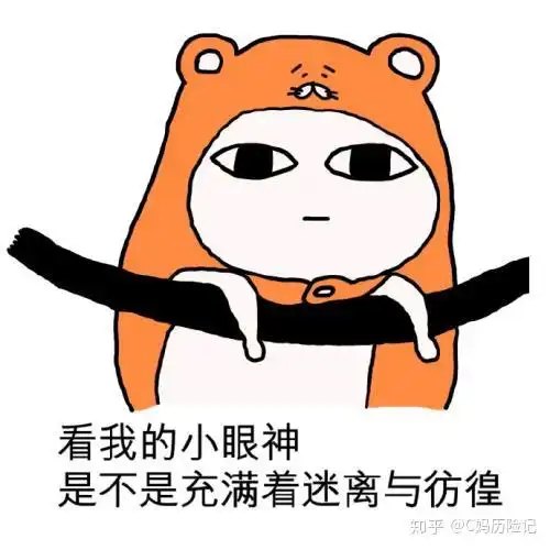 被骗入明亚是什么体验脑子抽风那种

