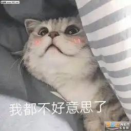 整天情情爱爱不知羞耻表情包图片吃我一jio表情包下载乐游网游戏下载
