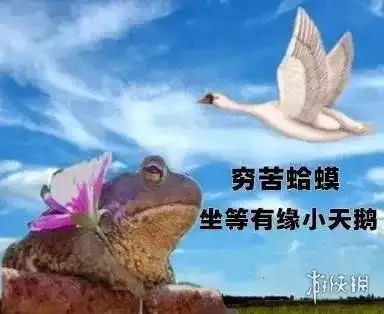 2021跨年夜有空吗表情包天鹅2021跨年夜有空吗表情包有哪些
