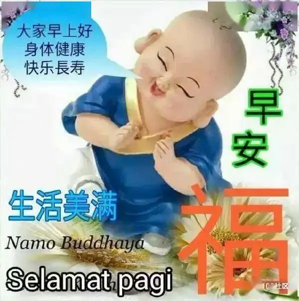 2020最新版早安动画图片带字表情包,最新版早晨动态问候语祝福语图片大全
