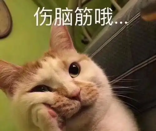 外国腹肌小哥用超大平板吃鸡这奢华的样子你们感受下
