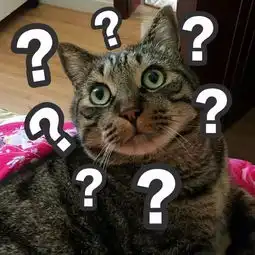 我的表情包去世了,楼楼再见
