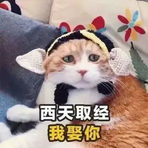 最新撩人的土味情话表情包,2020年最新撩人情话精选图片
