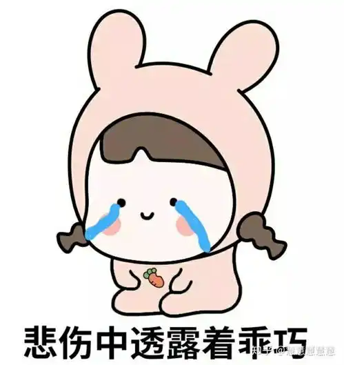 初三需要怎么样的书包
