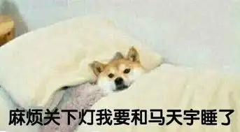 马天宇情人节表情包
