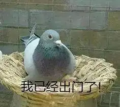 鸽子表情包第二弹,放别人鸽子真快乐,哈哈
