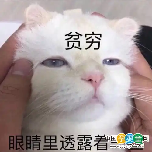假青铜,真王者隐藏王者企业大盘点