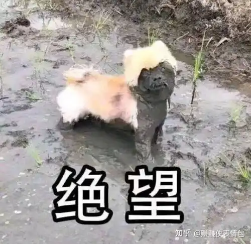 爱你表情包
