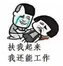 别人脱单你脱发,毕业后熬夜加班没话说的专业
